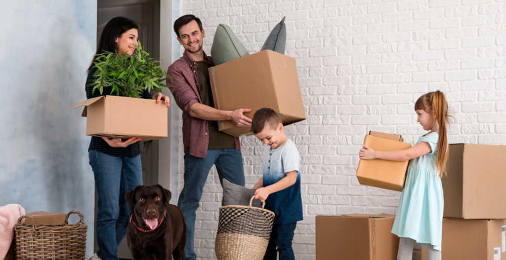 Dicas práticas para organizar a sua mudança!!!
