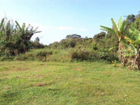 Terreno / Lote à venda, Corveta - Araquari/SC