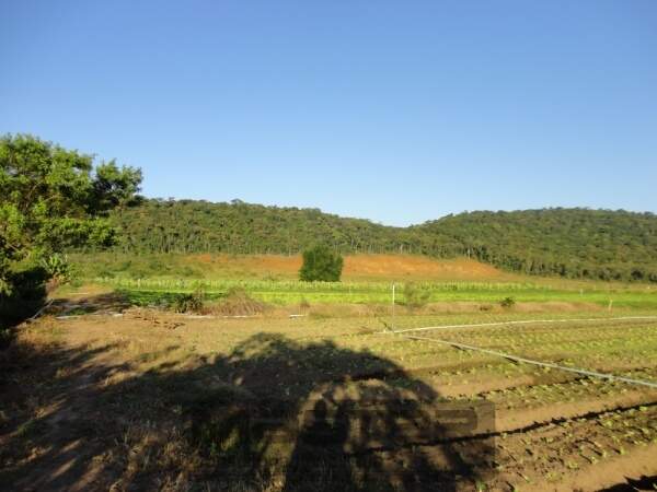 Imagem Terreno / Lote à venda, Itapocu - Araquari/SC