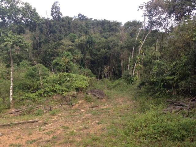 Imagem principal Terreno / Lote à venda, Amizade - Jaraguá do Sul/SC