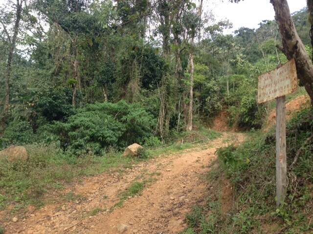 Imagem Terreno / Lote à venda, Amizade - Jaraguá do Sul/SC