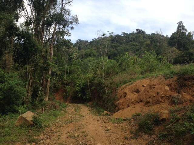 Imagem Terreno / Lote à venda, Amizade - Jaraguá do Sul/SC