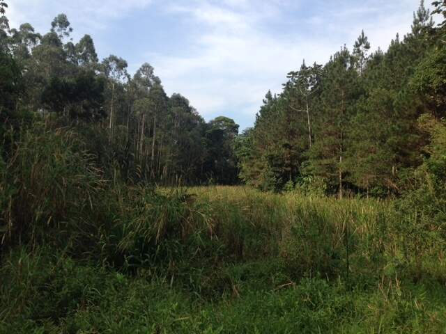 Imagem Terreno / Lote à venda, Amizade - Jaraguá do Sul/SC