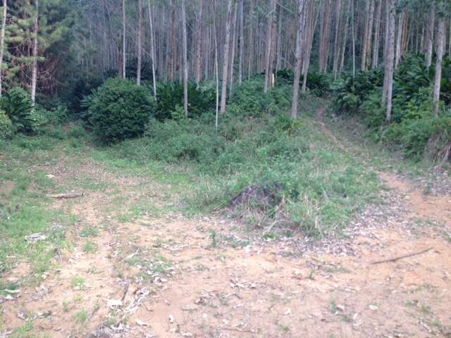 Imagem Terreno / Lote à venda, Amizade - Jaraguá do Sul/SC