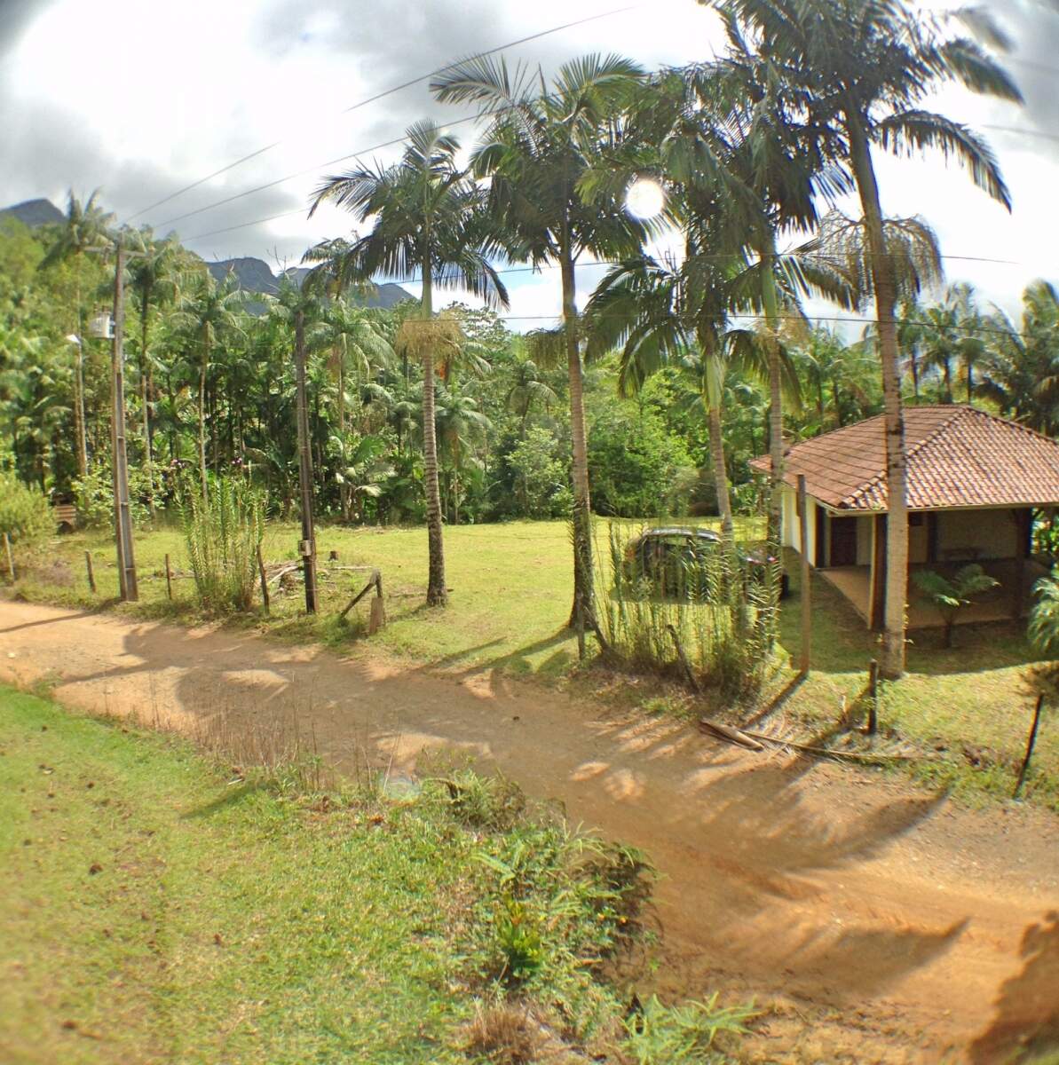 Imagem Chácara à Venda 