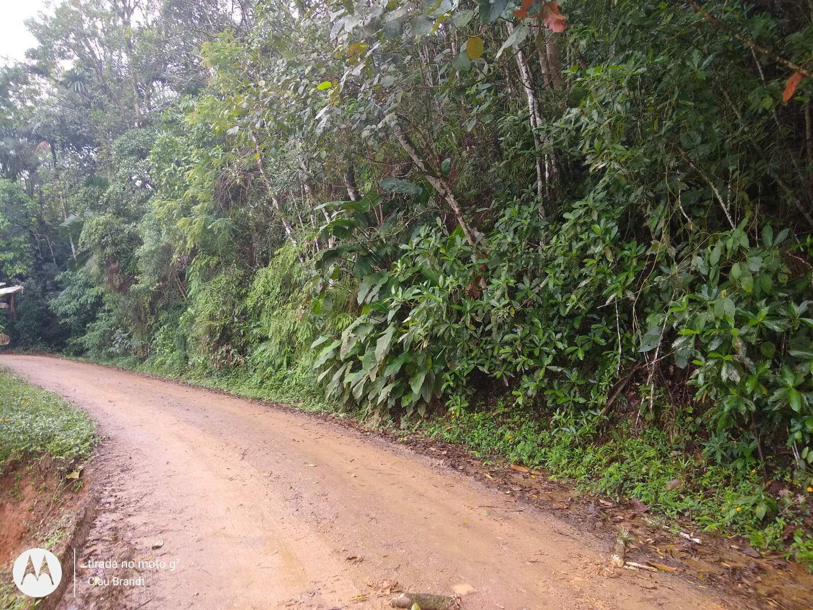 Imagem Chácara à Venda 