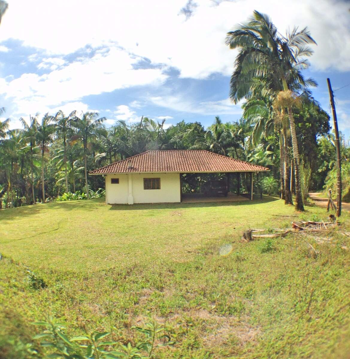 Imagem Chácara à Venda 