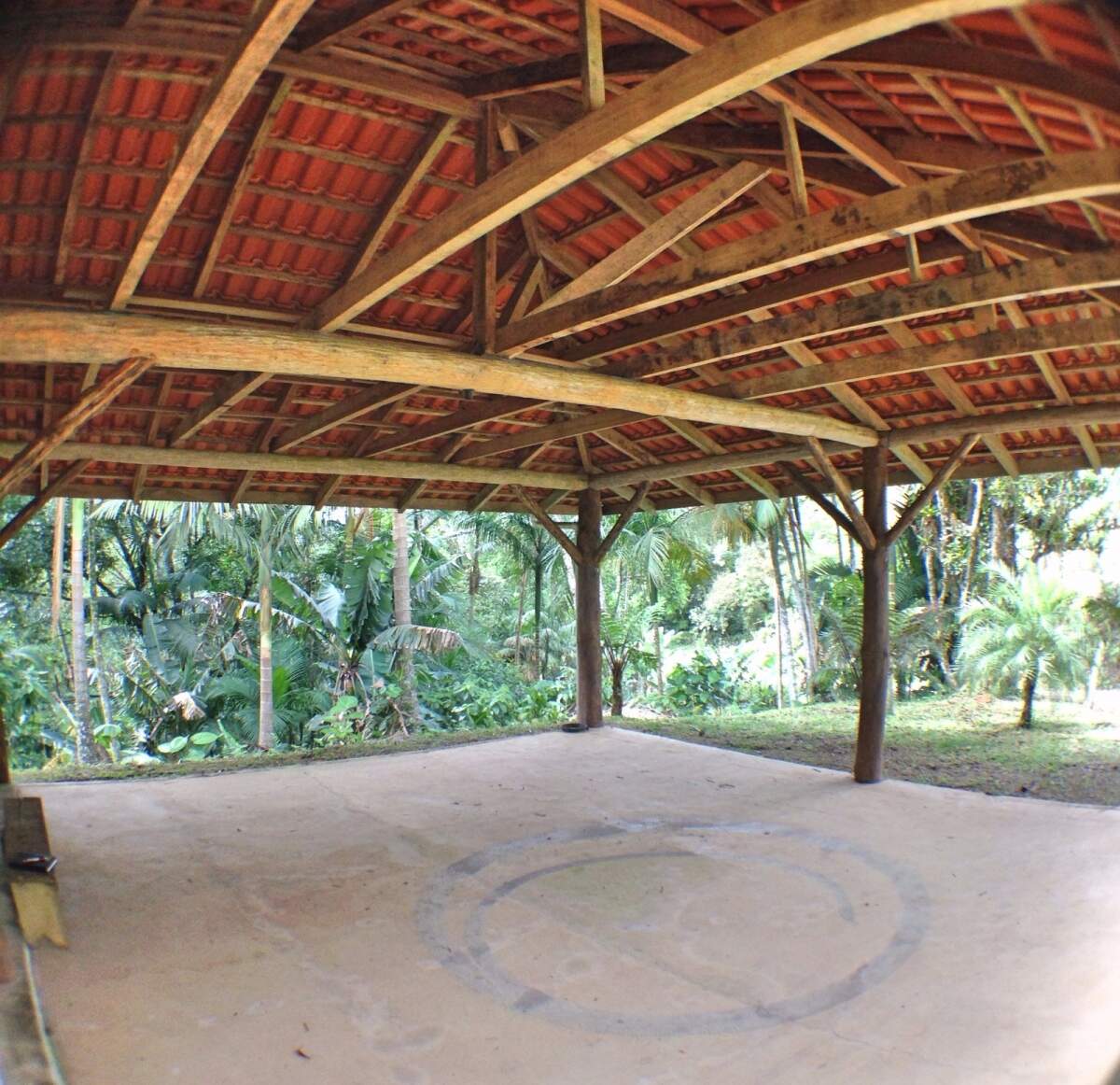 Imagem Chácara à Venda 