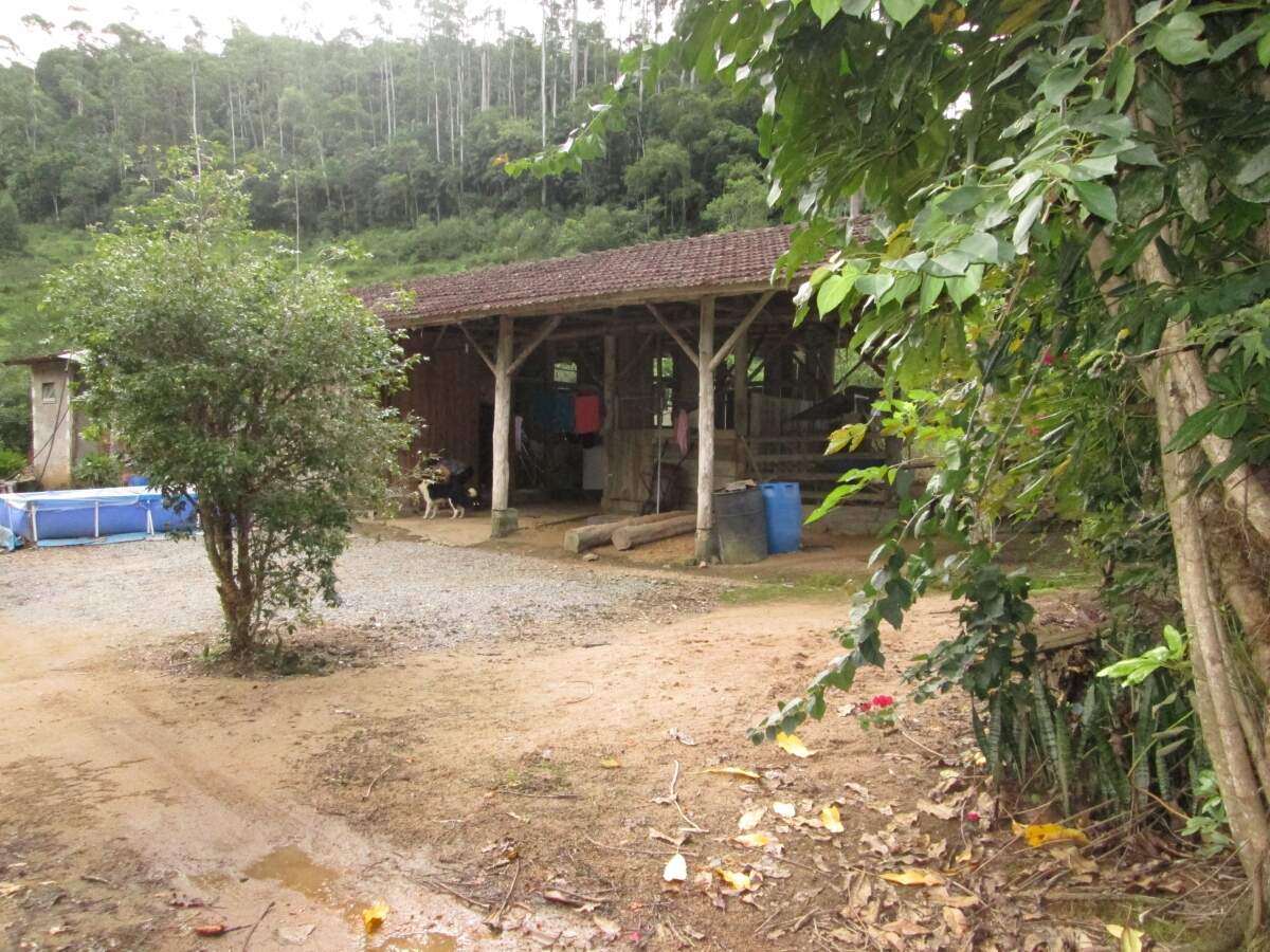 Imagem Chácara / Sítio à venda, 2 quartos, Nereu Ramos - Jaraguá do Sul/SC