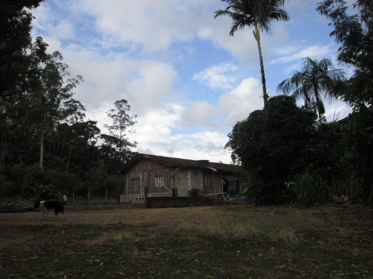 Imagem Chácara / Sítio à venda, 2 quartos, Nereu Ramos - Jaraguá do Sul/SC