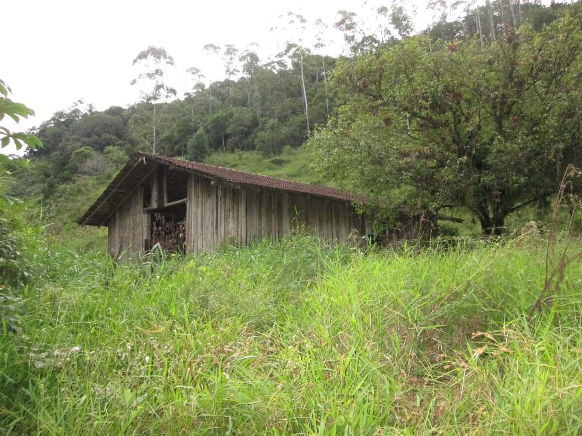 Imagem Chácara / Sítio à venda, 2 quartos, Nereu Ramos - Jaraguá do Sul/SC