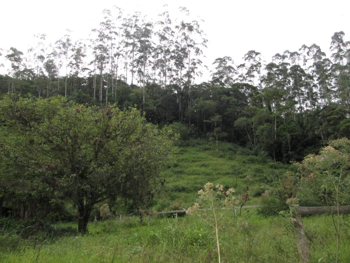 Imagem Chácara / Sítio à venda, 2 quartos, Nereu Ramos - Jaraguá do Sul/SC