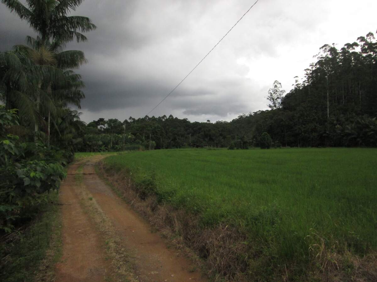 Imagem Chácara / Sítio à venda, 2 quartos, Nereu Ramos - Jaraguá do Sul/SC