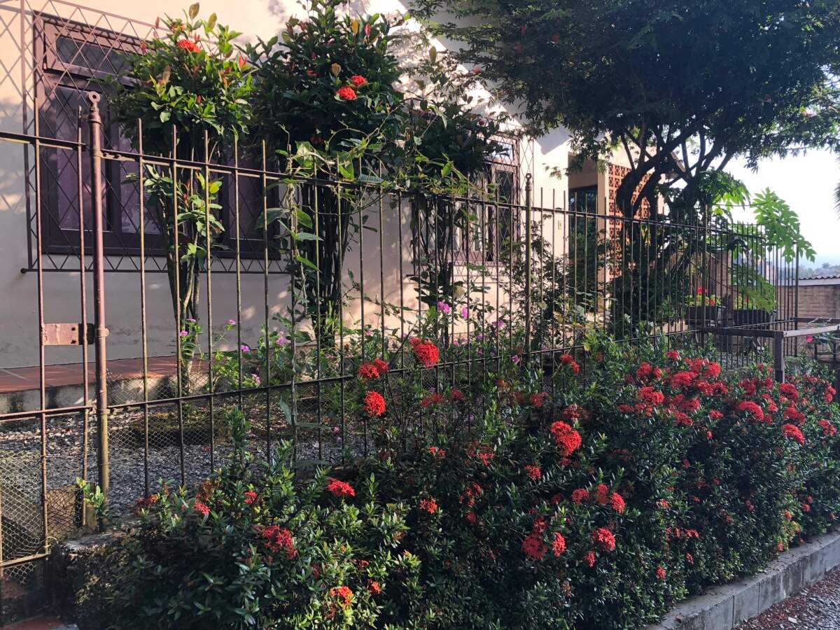 Imagem Terreno / Lote à venda, Centro - Jaraguá do Sul/SC