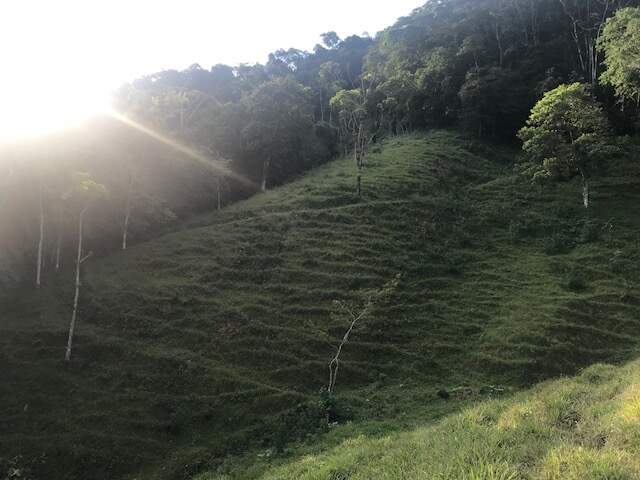 Imagem Chácara / Sítio à venda, 2 quartos, Três Rios do Norte - Jaraguá do Sul/SC