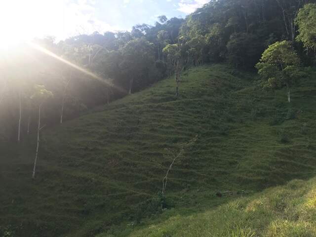 Imagem Chácara / Sítio à venda, 2 quartos, Três Rios do Norte - Jaraguá do Sul/SC