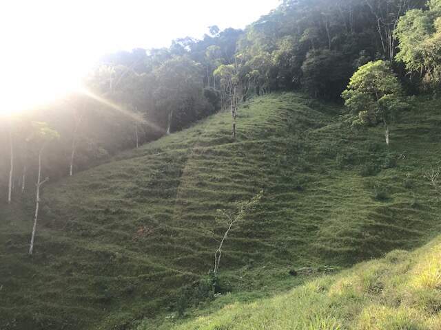 Imagem Chácara / Sítio à venda, 2 quartos, Três Rios do Norte - Jaraguá do Sul/SC