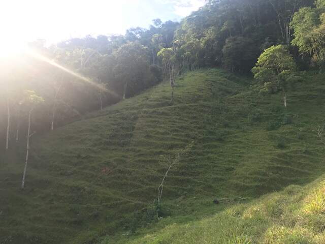 Imagem Chácara / Sítio à venda, 2 quartos, Três Rios do Norte - Jaraguá do Sul/SC