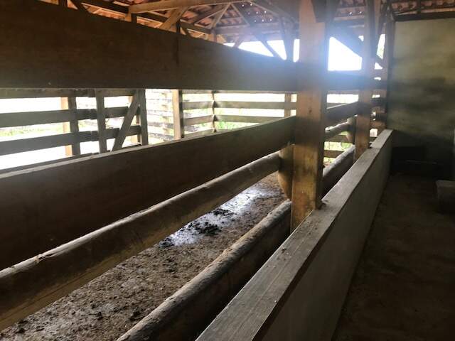 Imagem Chácara / Sítio à venda, 2 quartos, Três Rios do Norte - Jaraguá do Sul/SC