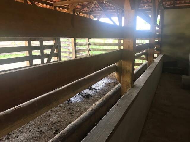 Imagem Chácara / Sítio à venda, 2 quartos, Três Rios do Norte - Jaraguá do Sul/SC