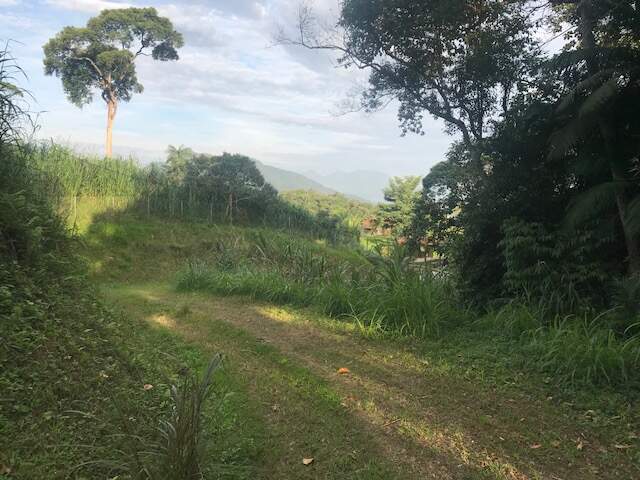 Imagem Chácara / Sítio à venda, 2 quartos, Três Rios do Norte - Jaraguá do Sul/SC