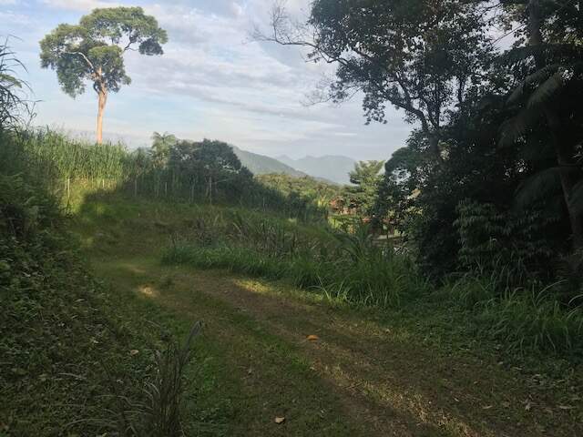Imagem Chácara / Sítio à venda, 2 quartos, Três Rios do Norte - Jaraguá do Sul/SC