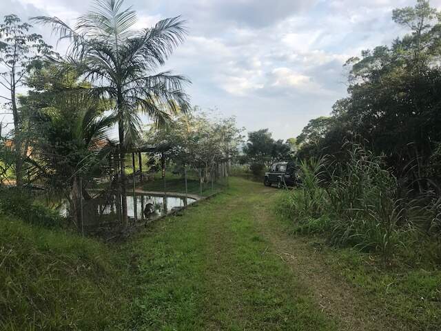 Imagem Chácara / Sítio à venda, 2 quartos, Três Rios do Norte - Jaraguá do Sul/SC