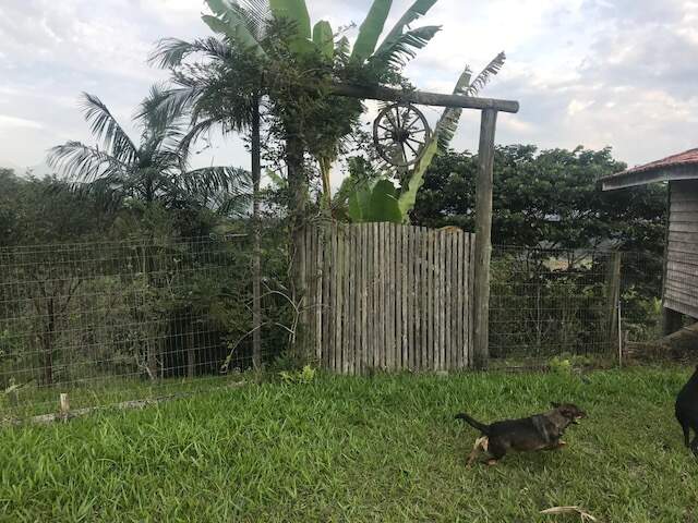 Imagem Chácara / Sítio à venda, 2 quartos, Três Rios do Norte - Jaraguá do Sul/SC