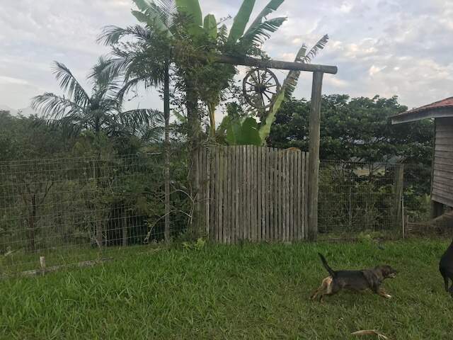 Imagem Chácara / Sítio à venda, 2 quartos, Três Rios do Norte - Jaraguá do Sul/SC