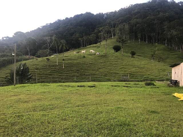 Imagem Chácara / Sítio à venda, 2 quartos, Três Rios do Norte - Jaraguá do Sul/SC