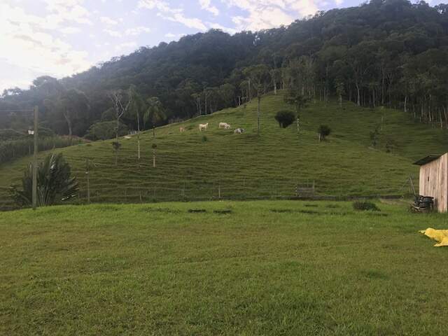 Imagem Chácara / Sítio à venda, 2 quartos, Três Rios do Norte - Jaraguá do Sul/SC