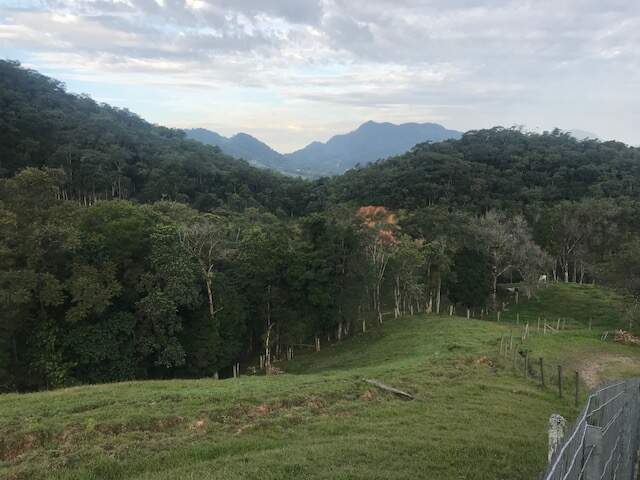 Imagem Chácara / Sítio à venda, 2 quartos, Três Rios do Norte - Jaraguá do Sul/SC