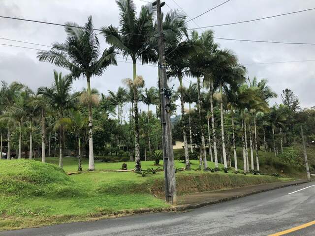 Imagem Casa à venda, 2 quartos, 1 suíte, 2 vagas, Chico de Paulo - Jaraguá do Sul/SC