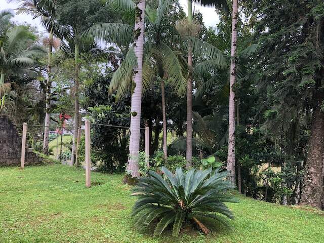 Imagem Casa à venda, 2 quartos, 1 suíte, 2 vagas, Chico de Paulo - Jaraguá do Sul/SC
