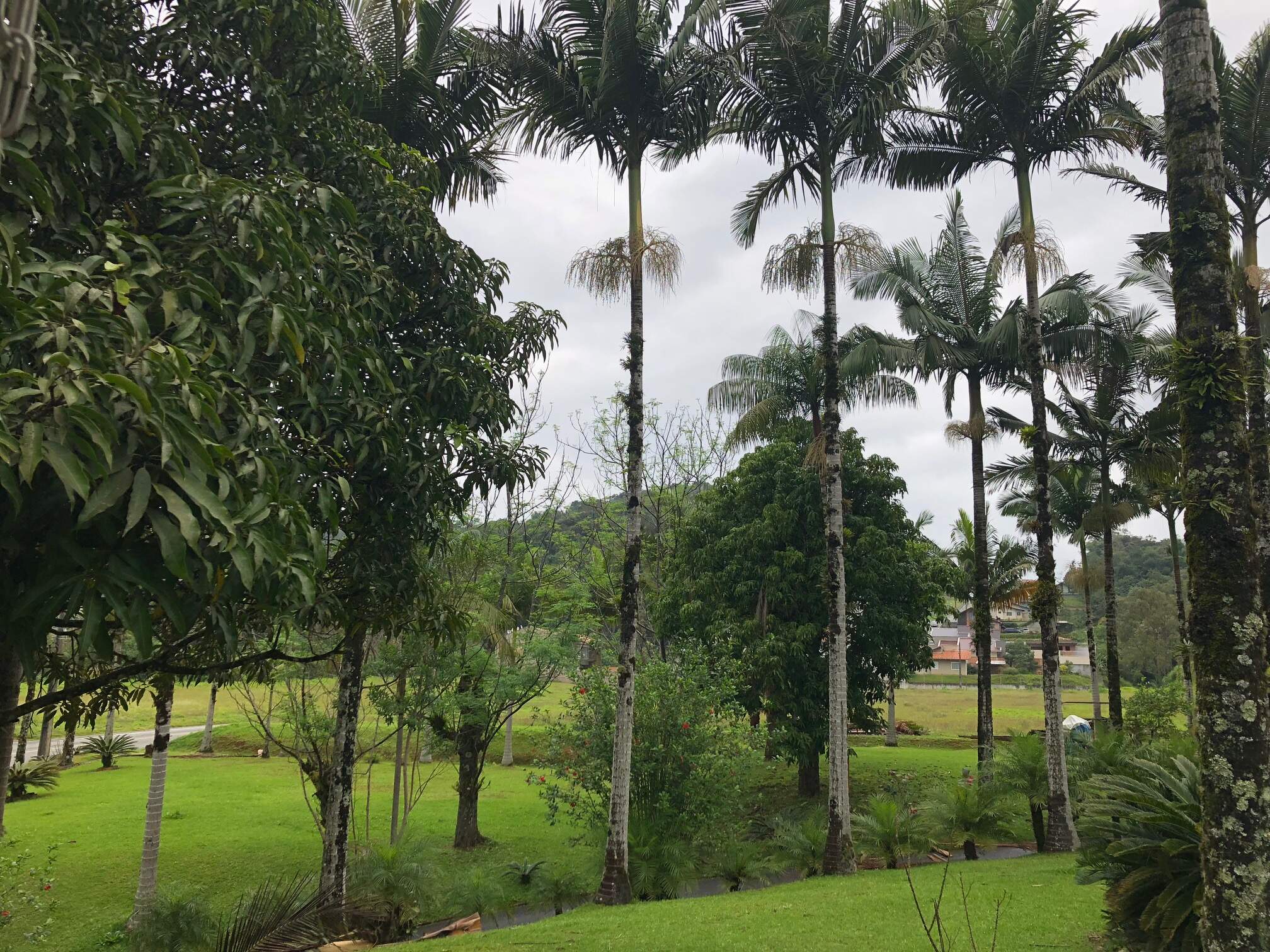 Imagem Casa à venda, 2 quartos, 1 suíte, 2 vagas, Chico de Paulo - Jaraguá do Sul/SC