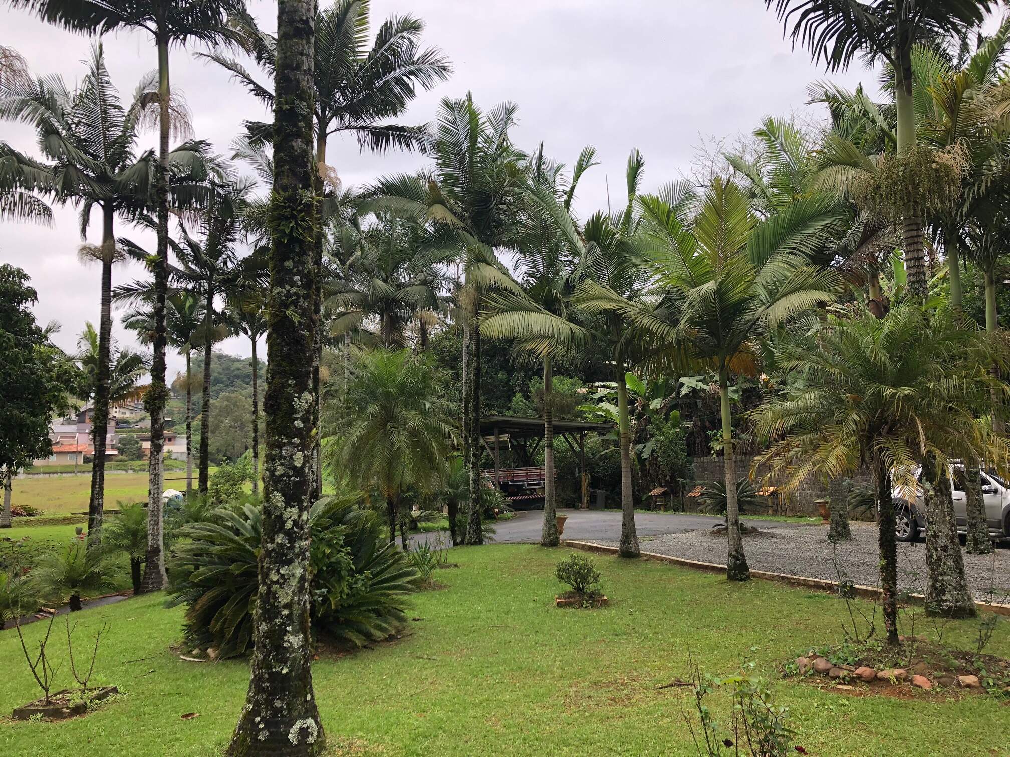 Imagem Casa à venda, 2 quartos, 1 suíte, 2 vagas, Chico de Paulo - Jaraguá do Sul/SC