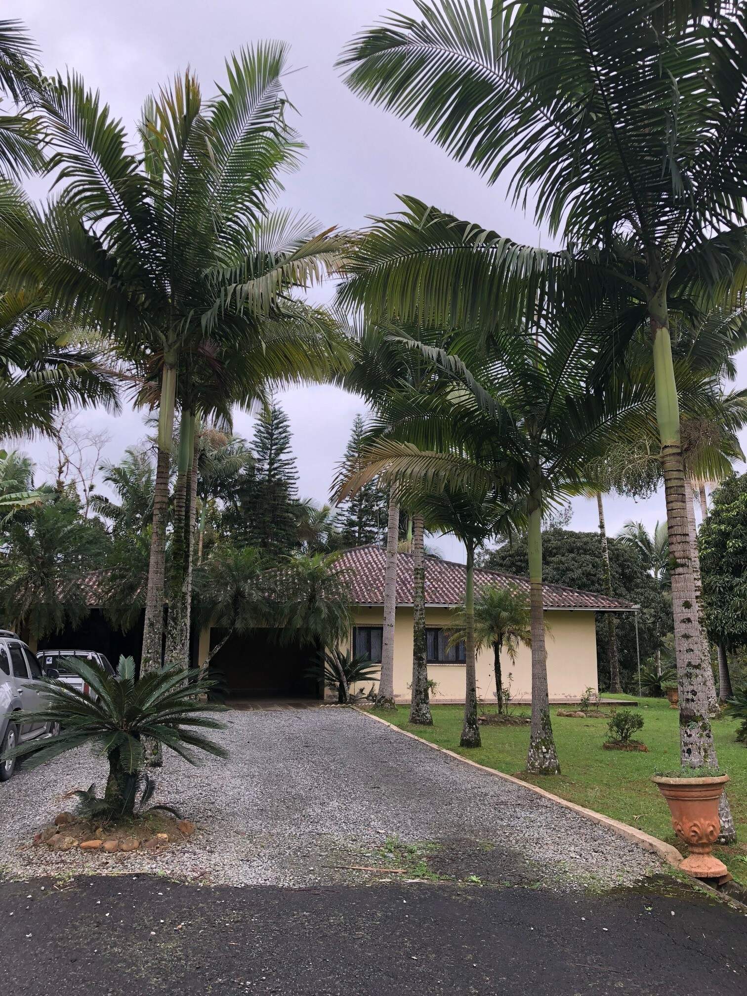 Imagem Casa à venda, 2 quartos, 1 suíte, 2 vagas, Chico de Paulo - Jaraguá do Sul/SC