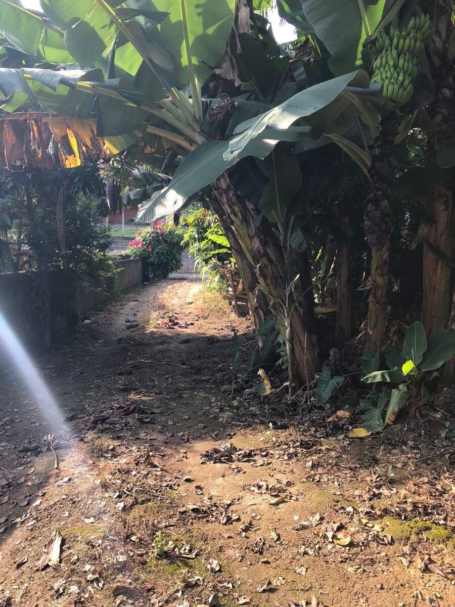 Imagem Casa à venda, 4 quartos, 2 vagas, Centro - Jaraguá do Sul/SC