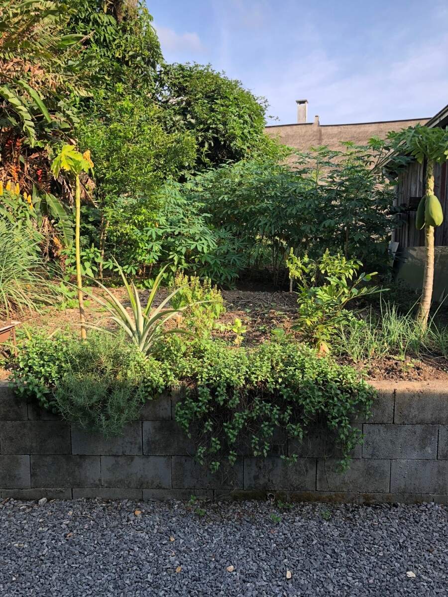 Imagem Casa à venda, 4 quartos, 2 vagas, Centro - Jaraguá do Sul/SC