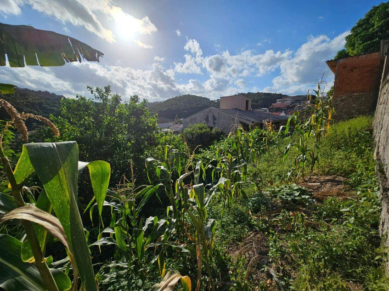 Imagem Sobrado residencial e comercial no bairro Tifa Martins