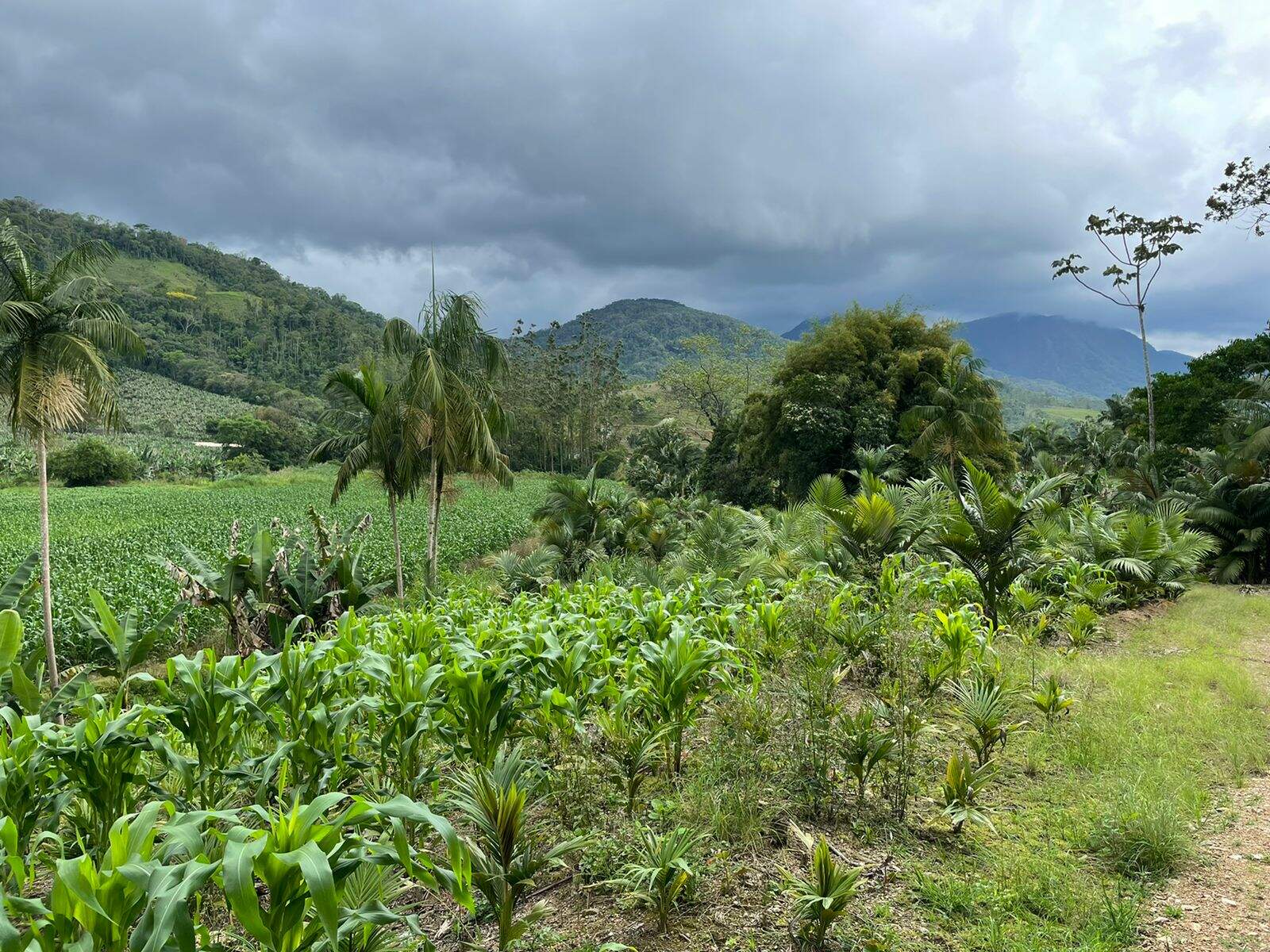 Imagem Terreno / Lote à venda, Garibaldi - Jaraguá do Sul/SC