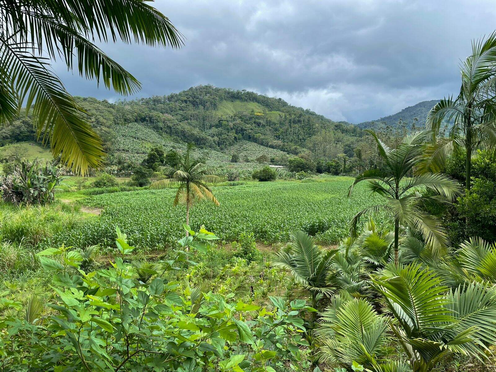 Imagem Terreno / Lote à venda, Garibaldi - Jaraguá do Sul/SC