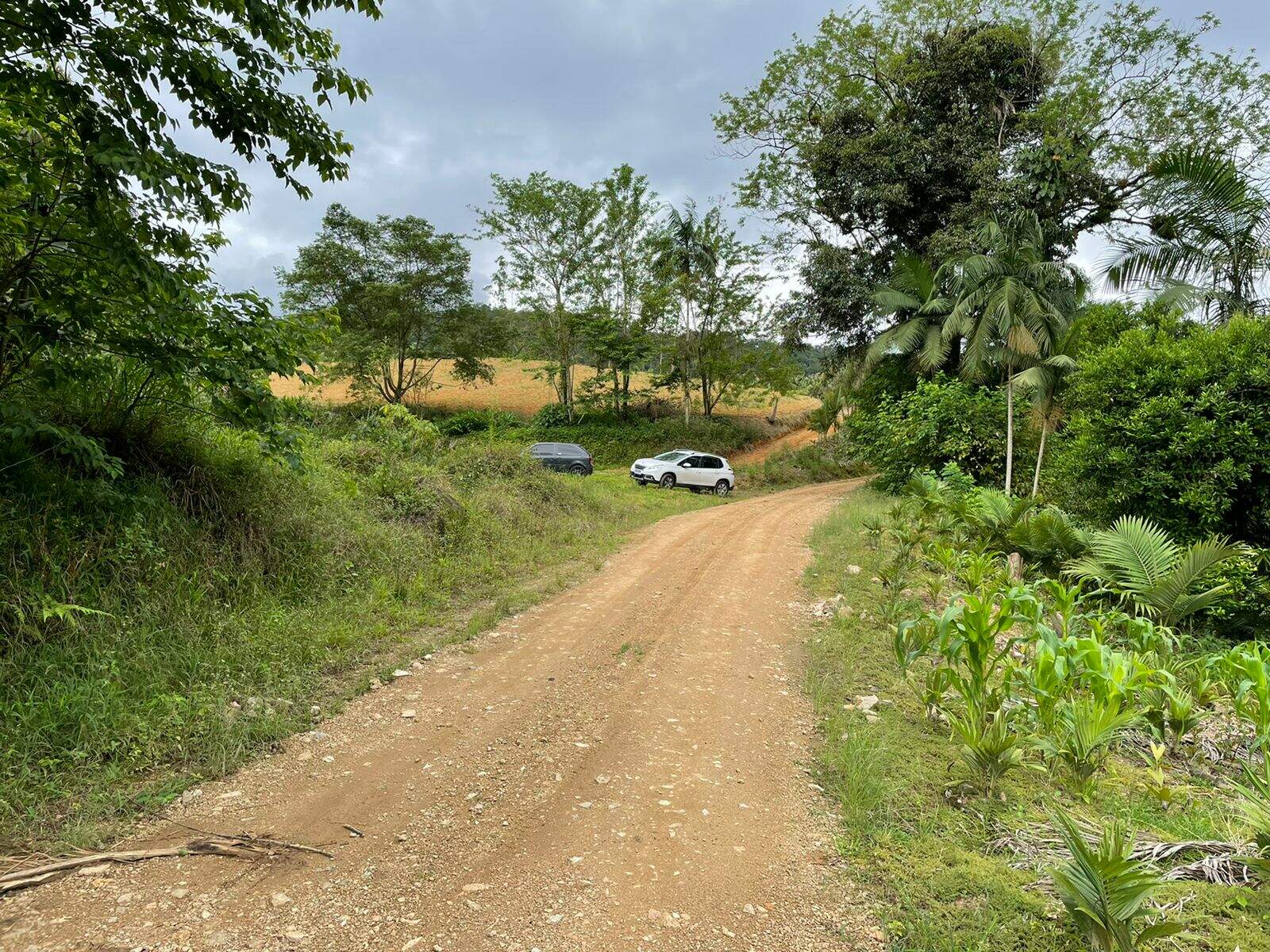 Imagem Terreno / Lote à venda, Garibaldi - Jaraguá do Sul/SC