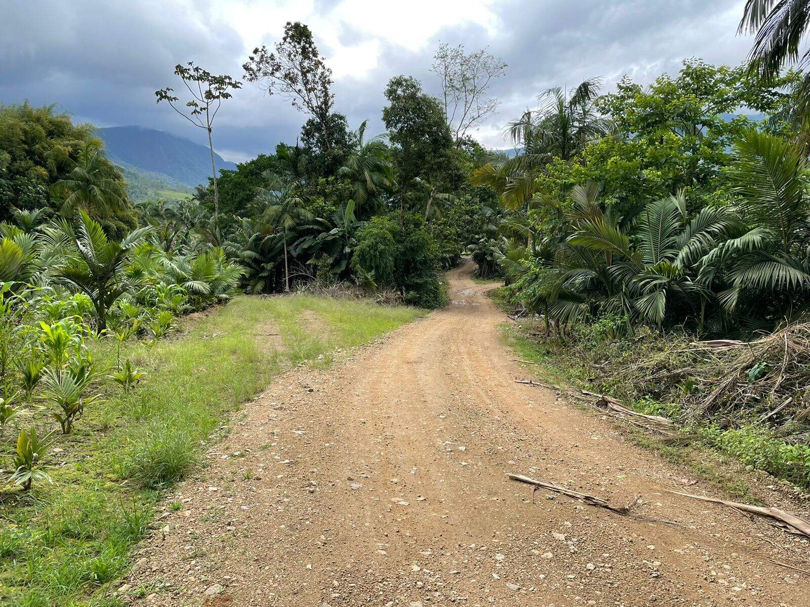 Imagem Terreno / Lote à venda, Garibaldi - Jaraguá do Sul/SC