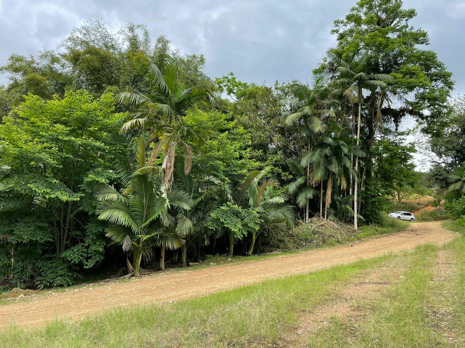 Imagem Terreno / Lote à venda, Garibaldi - Jaraguá do Sul/SC