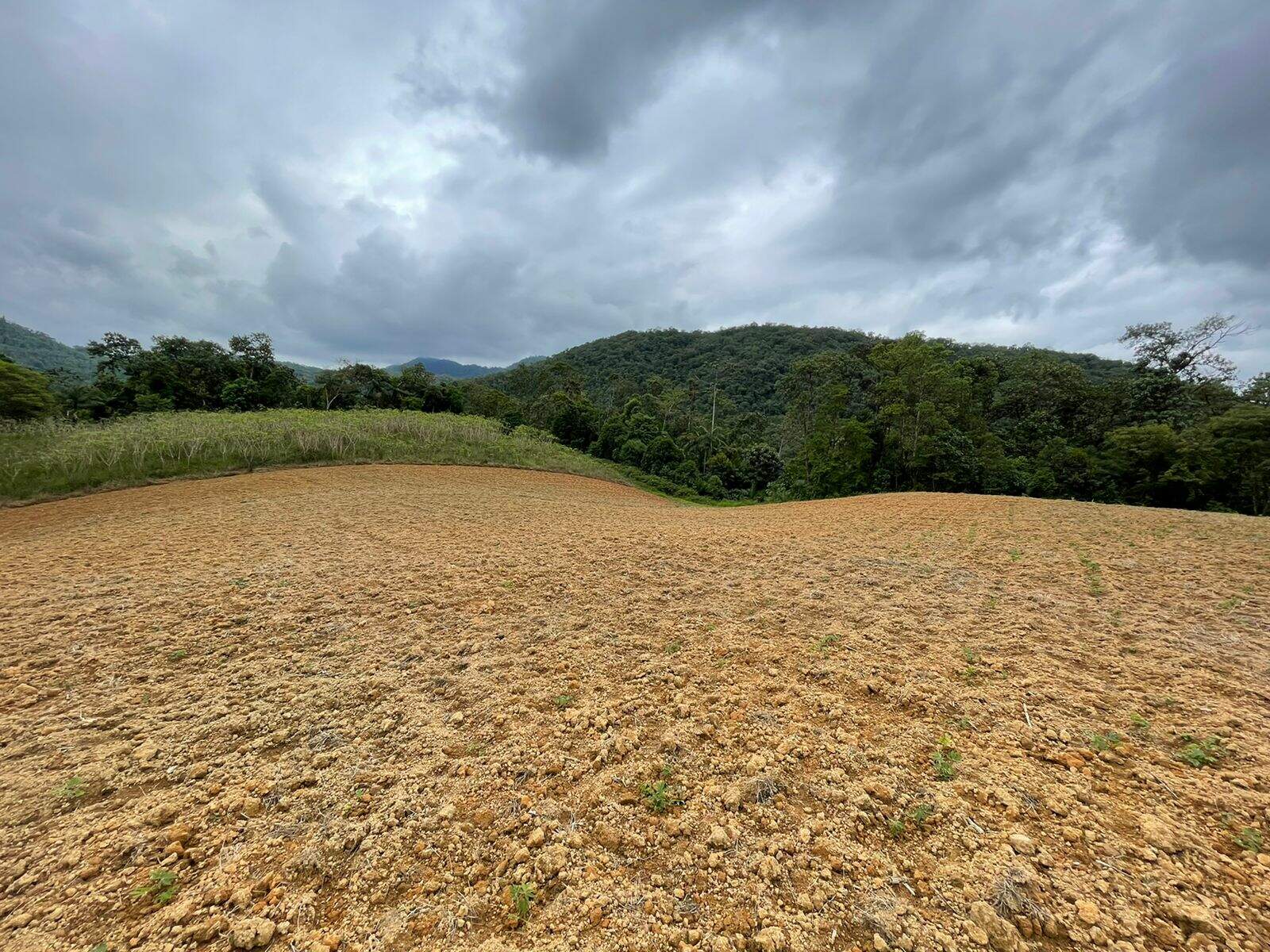 Imagem Terreno / Lote à venda, Garibaldi - Jaraguá do Sul/SC