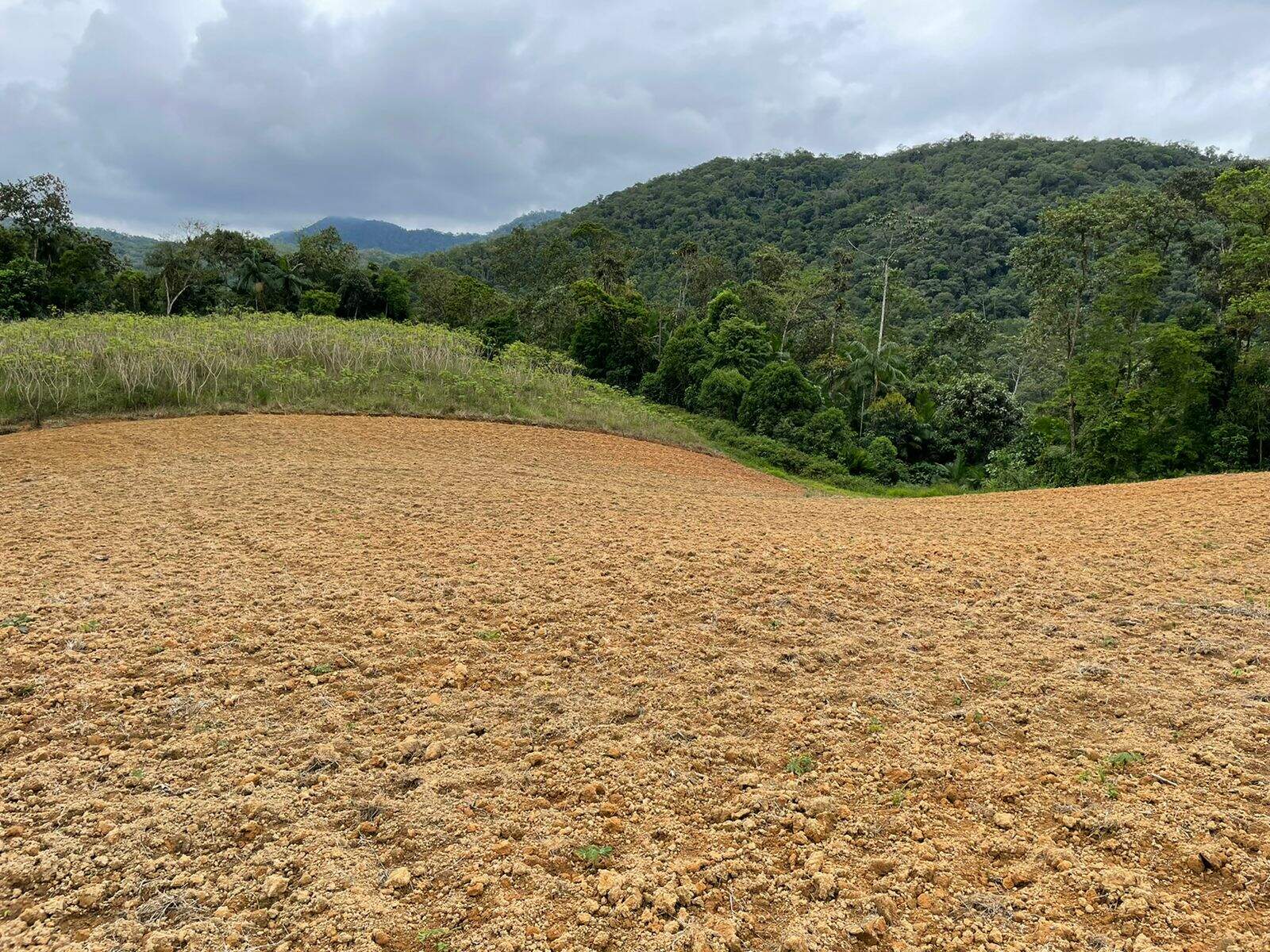 Imagem Terreno / Lote à venda, Garibaldi - Jaraguá do Sul/SC