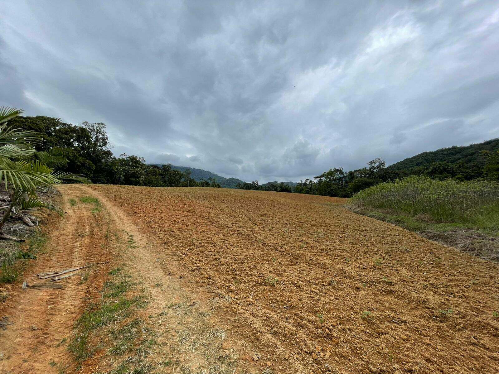 Imagem Terreno / Lote à venda, Garibaldi - Jaraguá do Sul/SC
