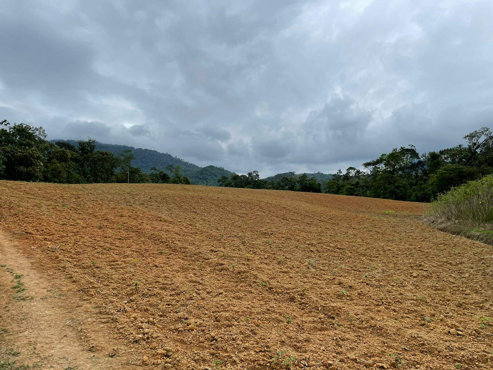 Imagem Terreno / Lote à venda, Garibaldi - Jaraguá do Sul/SC