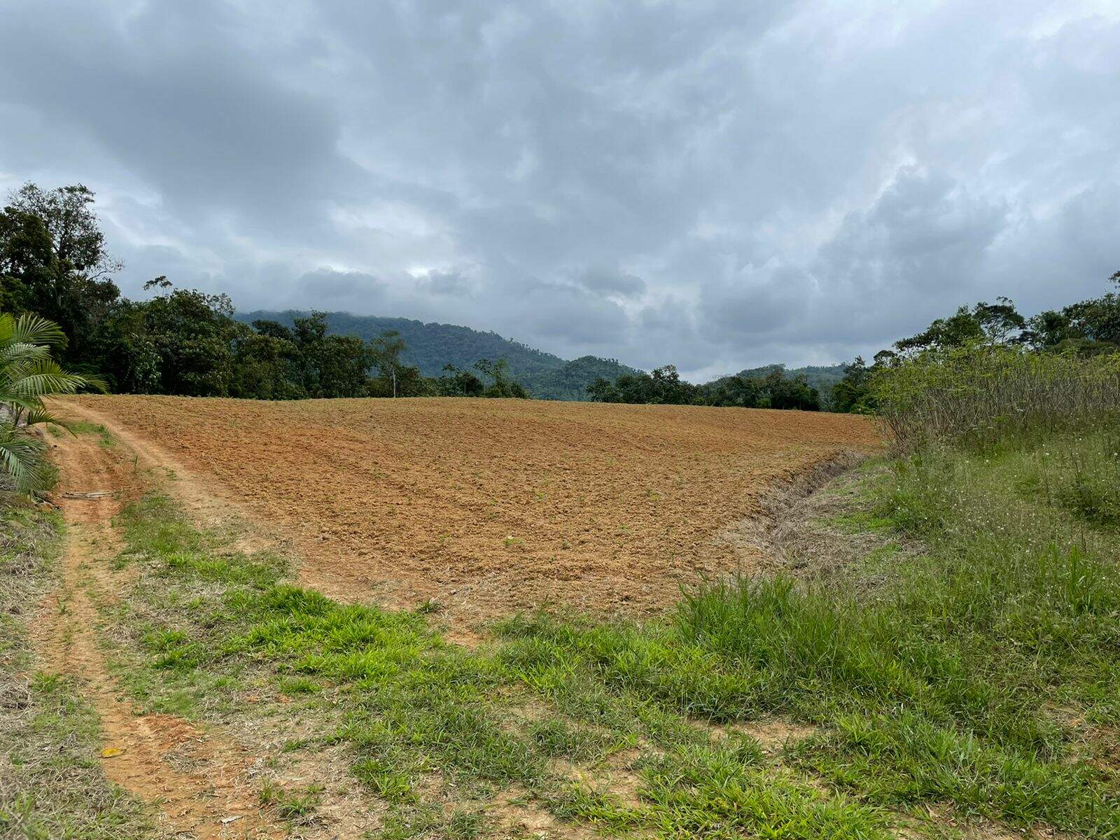 Imagem Terreno / Lote à venda, Garibaldi - Jaraguá do Sul/SC